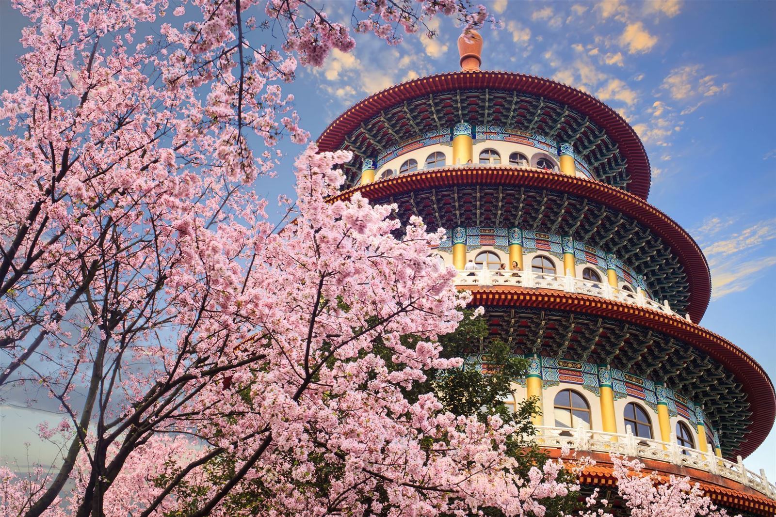 Sakura Garten